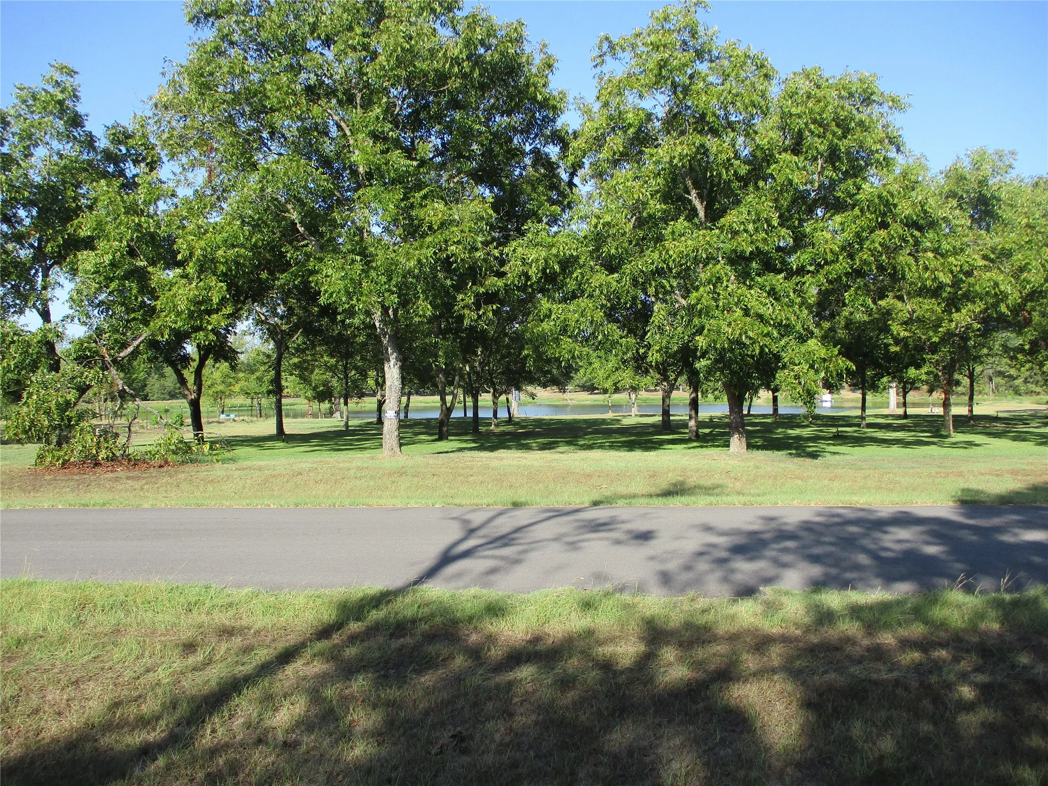 Unimproved Land For Sale in Rains County , 160 Rains County Road 2181, Emory, Texas 75440, 0, 0, Garage spaces, 0 Sqft, built in 0, mls#21388023, Real Estate Agent in Emory, Homes For Sale in Rains county, Homes For Sale in Emory, Realtor in Emory Texas, Real Estate Brokerage Independent Realty Texas, Luminita Cordes Realtor