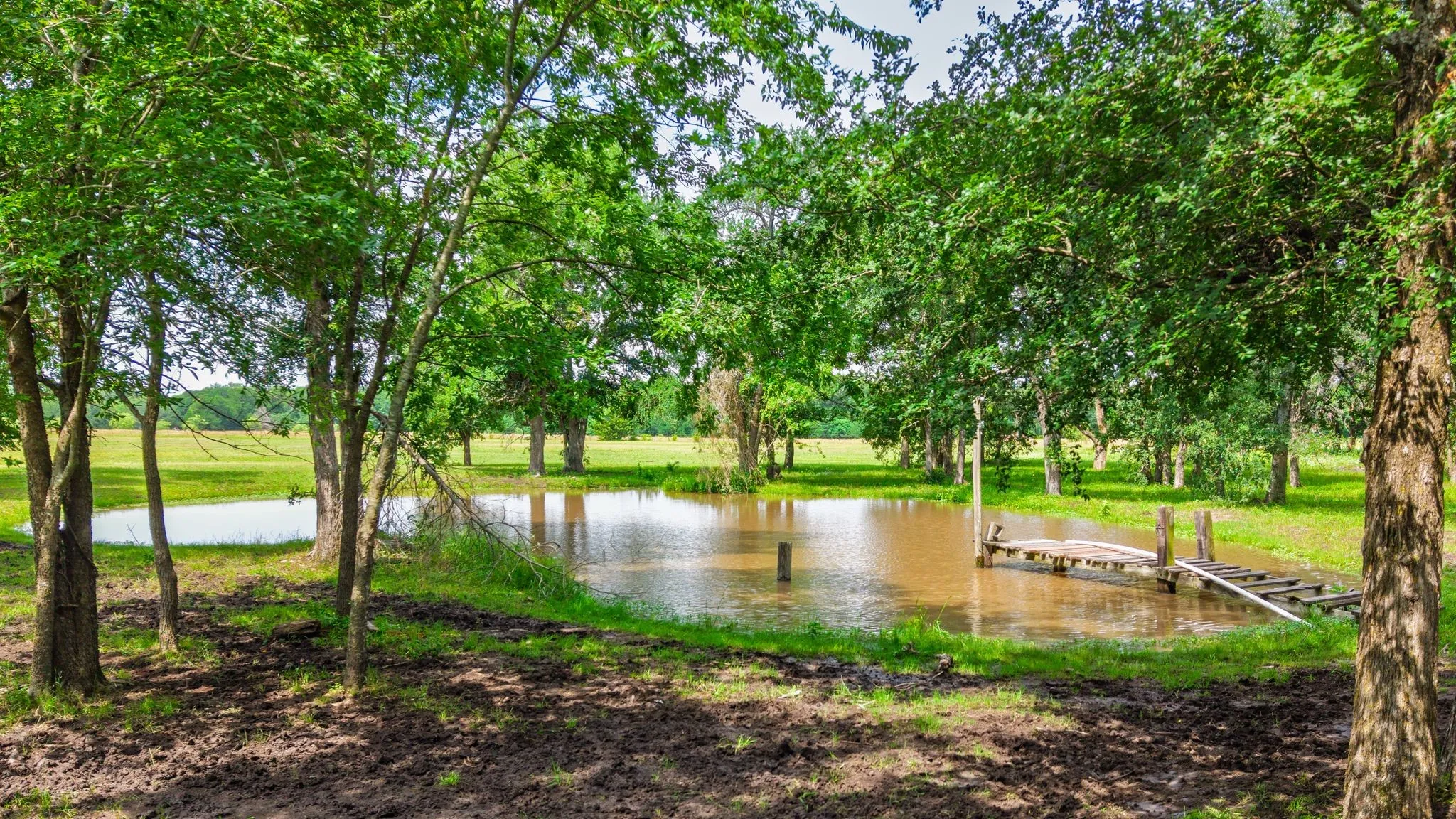 Single Family Residence For Sale in Hunt County , 7478 County Road 1020, Wolfe City, Texas 75496, 3 Bedroom, 2 Bathroom, 2 Garage spaces, 1,740 Sqft, built in 1978, mls#21388021, Real Estate Agent in Wolfe City, Homes For Sale in Hunt county, Homes For Sale in Wolfe City, Realtor in Wolfe City Texas, Real Estate Brokerage Independent Realty Texas, Luminita Cordes Realtor