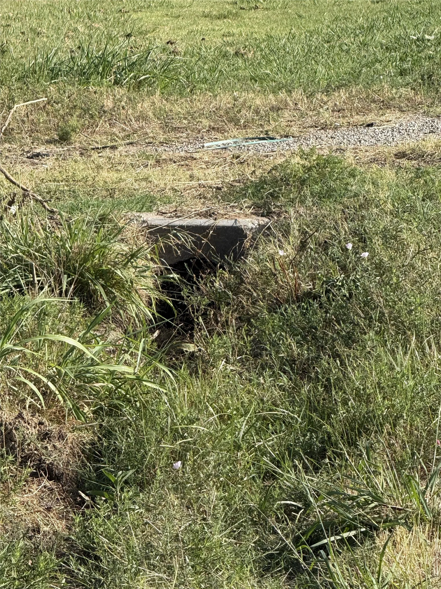 Unimproved Land For Sale in Hunt County , 5056 State Highway 34 Highway S, Greenville, Texas 75402, 0, 0, Garage spaces, 0 Sqft, built in 1900, mls#21388028, Real Estate Agent in Greenville, Homes For Sale in Hunt county, Homes For Sale in Greenville, Realtor in Greenville Texas, Real Estate Brokerage Independent Realty Texas, Luminita Cordes Realtor