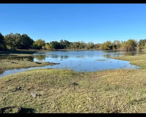 Ranch For Sale in Eastland County , TBD County Road 357, Gorman, Texas 76454, 0, 0, Garage spaces, 0 Sqft, built in 0, mls#21388035, Real Estate Agent in Gorman, Homes For Sale in Eastland county, Homes For Sale in Gorman, Realtor in Gorman Texas, Real Estate Brokerage Independent Realty Texas, Luminita Cordes Realtor