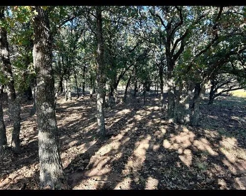 Ranch For Sale in Eastland County , TBD County Road 357, Gorman, Texas 76454, 0, 0, Garage spaces, 0 Sqft, built in 0, mls#21388035, Real Estate Agent in Gorman, Homes For Sale in Eastland county, Homes For Sale in Gorman, Realtor in Gorman Texas, Real Estate Brokerage Independent Realty Texas, Luminita Cordes Realtor