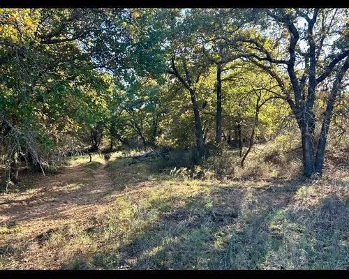 Ranch For Sale in Eastland County , TBD County Road 357, Gorman, Texas 76454, 0, 0, Garage spaces, 0 Sqft, built in 0, mls#21388035, Real Estate Agent in Gorman, Homes For Sale in Eastland county, Homes For Sale in Gorman, Realtor in Gorman Texas, Real Estate Brokerage Independent Realty Texas, Luminita Cordes Realtor