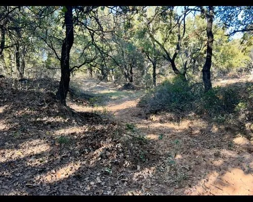 Ranch For Sale in Eastland County , TBD County Road 357, Gorman, Texas 76454, 0, 0, Garage spaces, 0 Sqft, built in 0, mls#21388035, Real Estate Agent in Gorman, Homes For Sale in Eastland county, Homes For Sale in Gorman, Realtor in Gorman Texas, Real Estate Brokerage Independent Realty Texas, Luminita Cordes Realtor