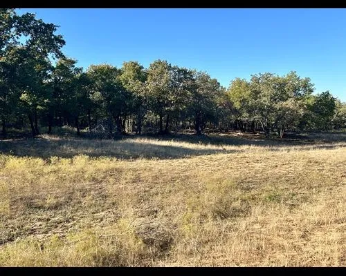 Ranch For Sale in Eastland County , TBD County Road 357, Gorman, Texas 76454, 0, 0, Garage spaces, 0 Sqft, built in 0, mls#21388035, Real Estate Agent in Gorman, Homes For Sale in Eastland county, Homes For Sale in Gorman, Realtor in Gorman Texas, Real Estate Brokerage Independent Realty Texas, Luminita Cordes Realtor