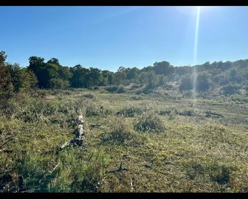 Ranch For Sale in Eastland County , TBD County Road 357, Gorman, Texas 76454, 0, 0, Garage spaces, 0 Sqft, built in 0, mls#21388035, Real Estate Agent in Gorman, Homes For Sale in Eastland county, Homes For Sale in Gorman, Realtor in Gorman Texas, Real Estate Brokerage Independent Realty Texas, Luminita Cordes Realtor