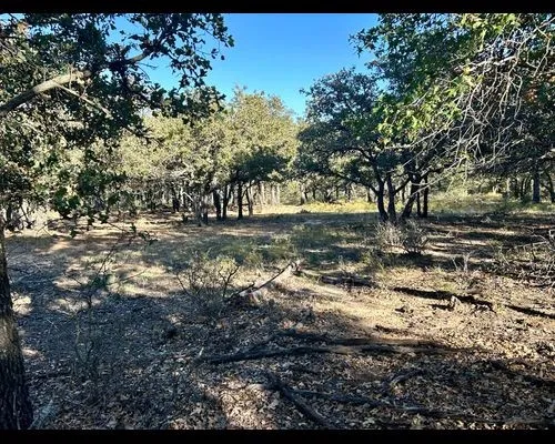 Ranch For Sale in Eastland County , TBD County Road 357, Gorman, Texas 76454, 0, 0, Garage spaces, 0 Sqft, built in 0, mls#21388035, Real Estate Agent in Gorman, Homes For Sale in Eastland county, Homes For Sale in Gorman, Realtor in Gorman Texas, Real Estate Brokerage Independent Realty Texas, Luminita Cordes Realtor