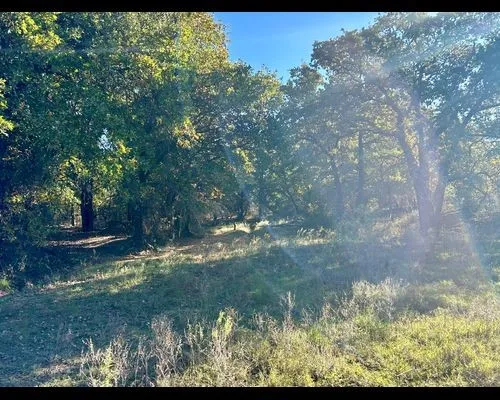 Ranch For Sale in Eastland County , TBD County Road 357, Gorman, Texas 76454, 0, 0, Garage spaces, 0 Sqft, built in 0, mls#21388035, Real Estate Agent in Gorman, Homes For Sale in Eastland county, Homes For Sale in Gorman, Realtor in Gorman Texas, Real Estate Brokerage Independent Realty Texas, Luminita Cordes Realtor