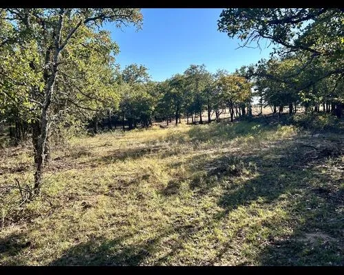 Ranch For Sale in Eastland County , TBD County Road 357, Gorman, Texas 76454, 0, 0, Garage spaces, 0 Sqft, built in 0, mls#21388035, Real Estate Agent in Gorman, Homes For Sale in Eastland county, Homes For Sale in Gorman, Realtor in Gorman Texas, Real Estate Brokerage Independent Realty Texas, Luminita Cordes Realtor