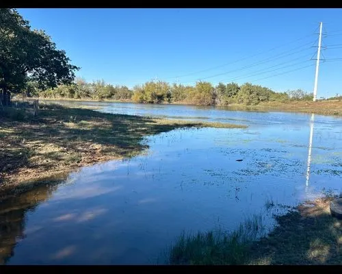 Ranch For Sale in Eastland County , TBD County Road 357, Gorman, Texas 76454, 0, 0, Garage spaces, 0 Sqft, built in 0, mls#21388035, Real Estate Agent in Gorman, Homes For Sale in Eastland county, Homes For Sale in Gorman, Realtor in Gorman Texas, Real Estate Brokerage Independent Realty Texas, Luminita Cordes Realtor