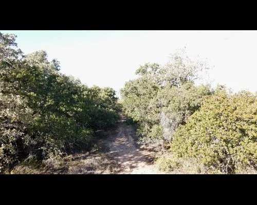 Ranch For Sale in Eastland County , TBD County Road 357, Gorman, Texas 76454, 0, 0, Garage spaces, 0 Sqft, built in 0, mls#21388035, Real Estate Agent in Gorman, Homes For Sale in Eastland county, Homes For Sale in Gorman, Realtor in Gorman Texas, Real Estate Brokerage Independent Realty Texas, Luminita Cordes Realtor