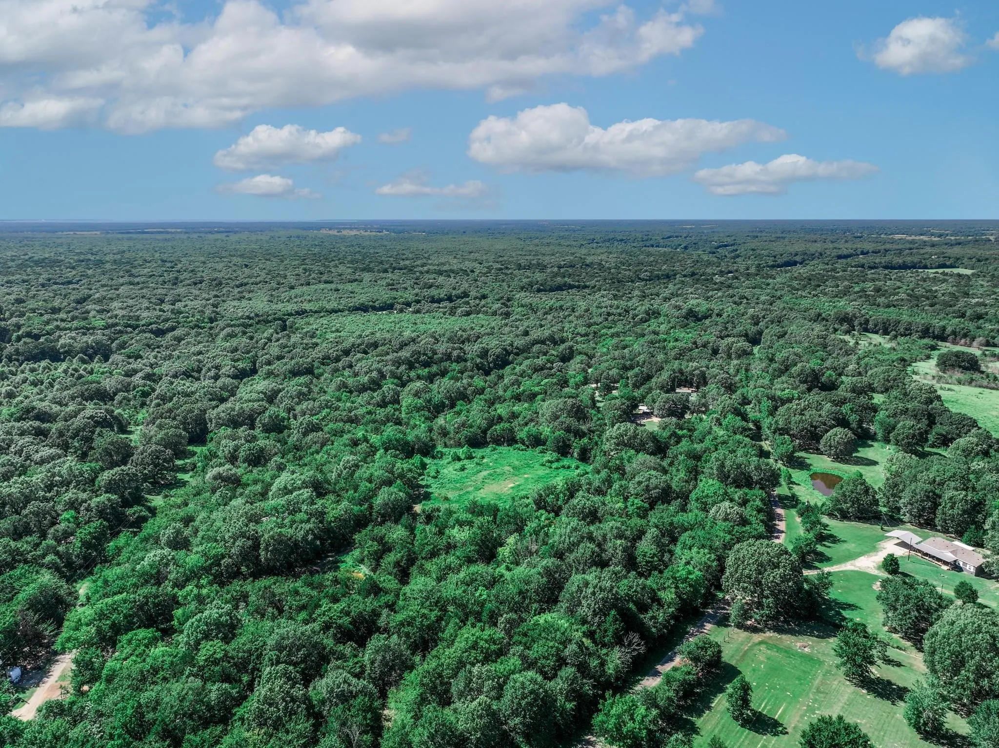 Unimproved Land For Sale in Van Zandt County , TBD County Road 1909, Canton, Texas 75117, 0, 0, Garage spaces, 0 Sqft, built in 0, mls#21384546, Real Estate Agent in Canton, Homes For Sale in Van Zandt county, Homes For Sale in Canton, Realtor in Canton Texas, Real Estate Brokerage Independent Realty Texas, Luminita Cordes Realtor