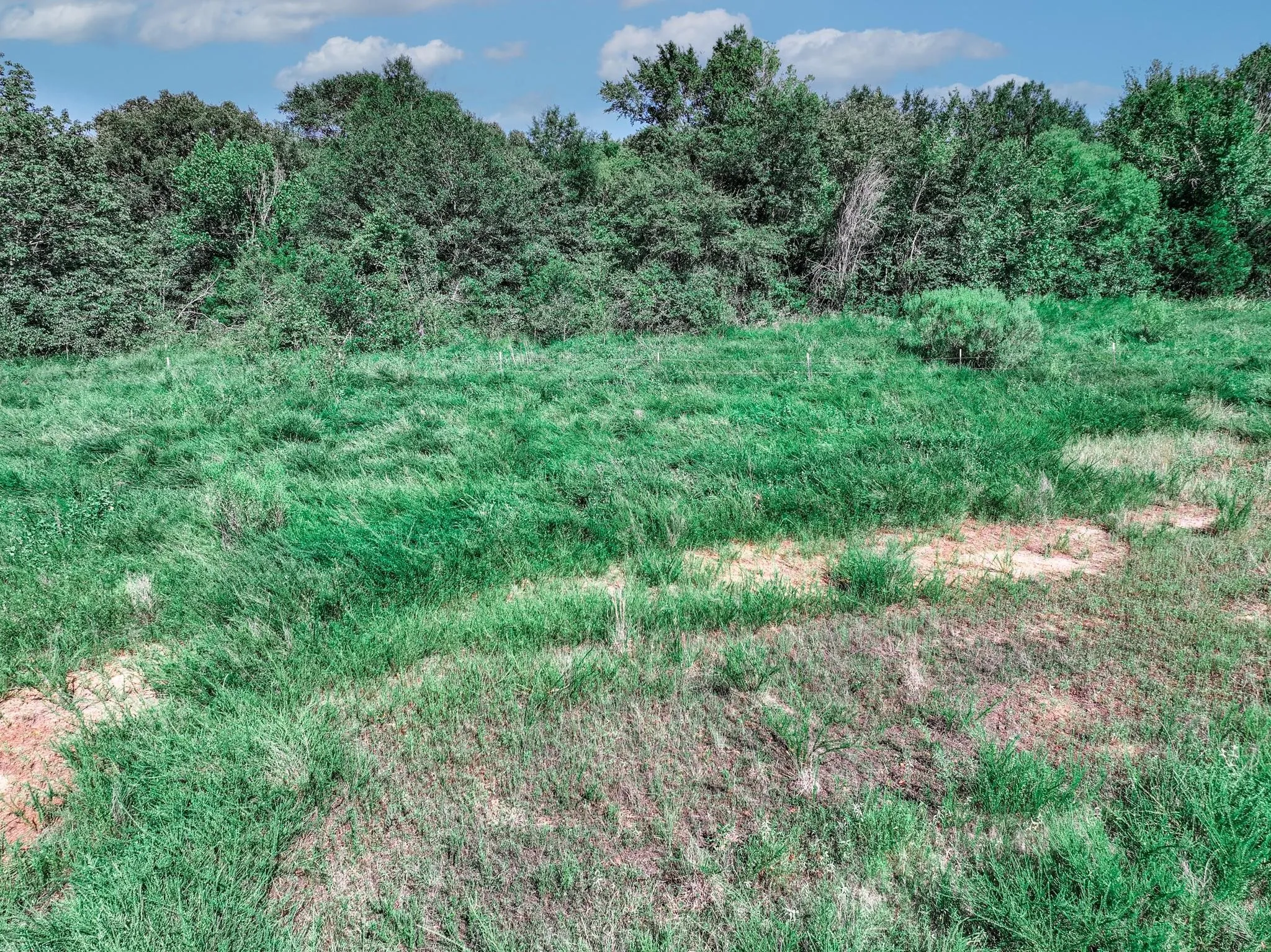 Unimproved Land For Sale in Van Zandt County , TBD County Road 1909, Canton, Texas 75117, 0, 0, Garage spaces, 0 Sqft, built in 0, mls#21384546, Real Estate Agent in Canton, Homes For Sale in Van Zandt county, Homes For Sale in Canton, Realtor in Canton Texas, Real Estate Brokerage Independent Realty Texas, Luminita Cordes Realtor