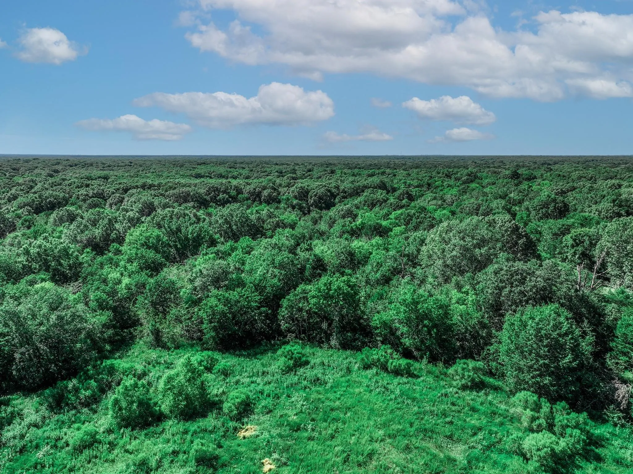 Unimproved Land For Sale in Van Zandt County , TBD County Road 1909, Canton, Texas 75117, 0, 0, Garage spaces, 0 Sqft, built in 0, mls#21384546, Real Estate Agent in Canton, Homes For Sale in Van Zandt county, Homes For Sale in Canton, Realtor in Canton Texas, Real Estate Brokerage Independent Realty Texas, Luminita Cordes Realtor