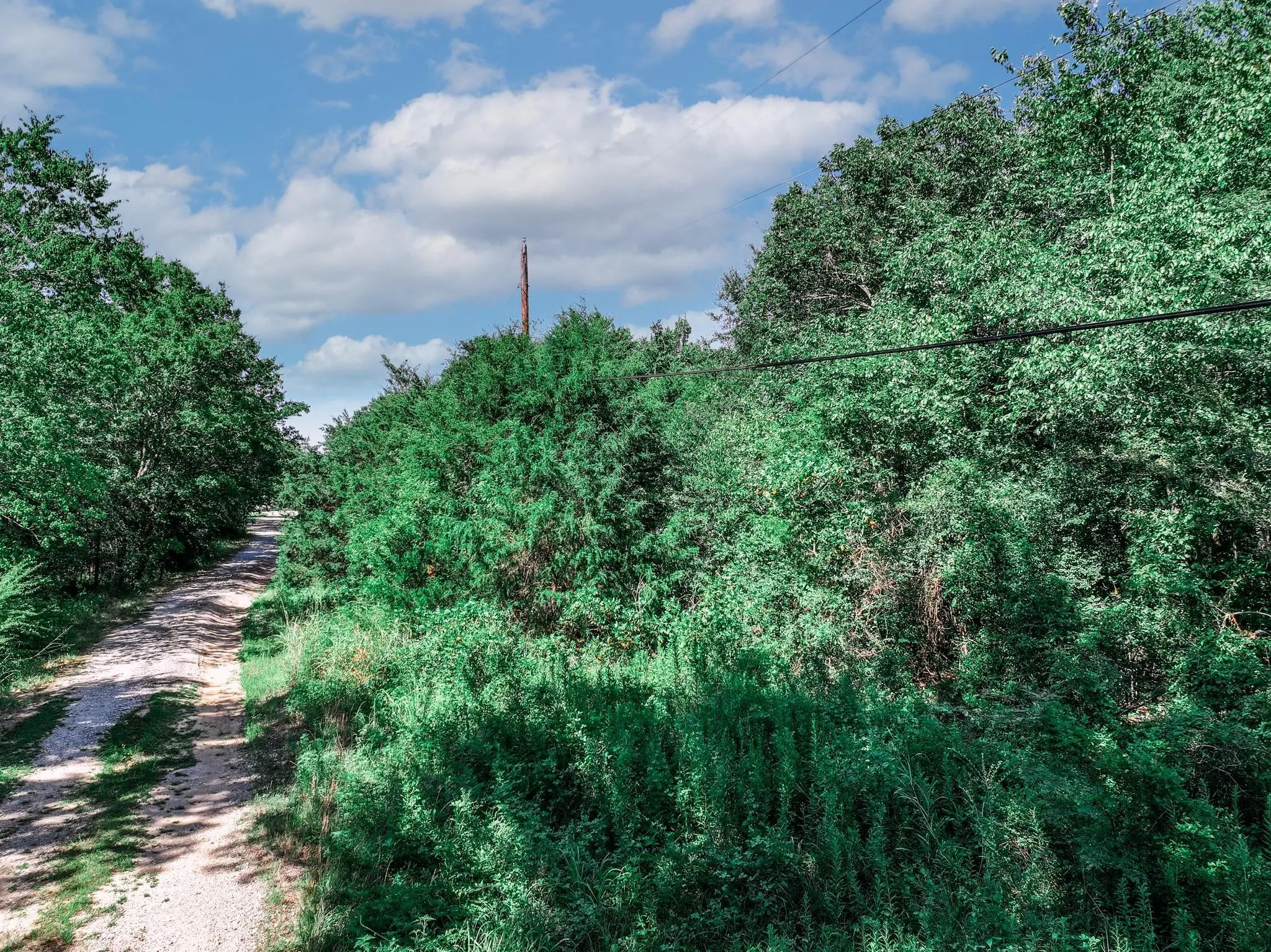 Unimproved Land For Sale in Van Zandt County , TBD County Road 1909, Canton, Texas 75117, 0, 0, Garage spaces, 0 Sqft, built in 0, mls#21384546, Real Estate Agent in Canton, Homes For Sale in Van Zandt county, Homes For Sale in Canton, Realtor in Canton Texas, Real Estate Brokerage Independent Realty Texas, Luminita Cordes Realtor