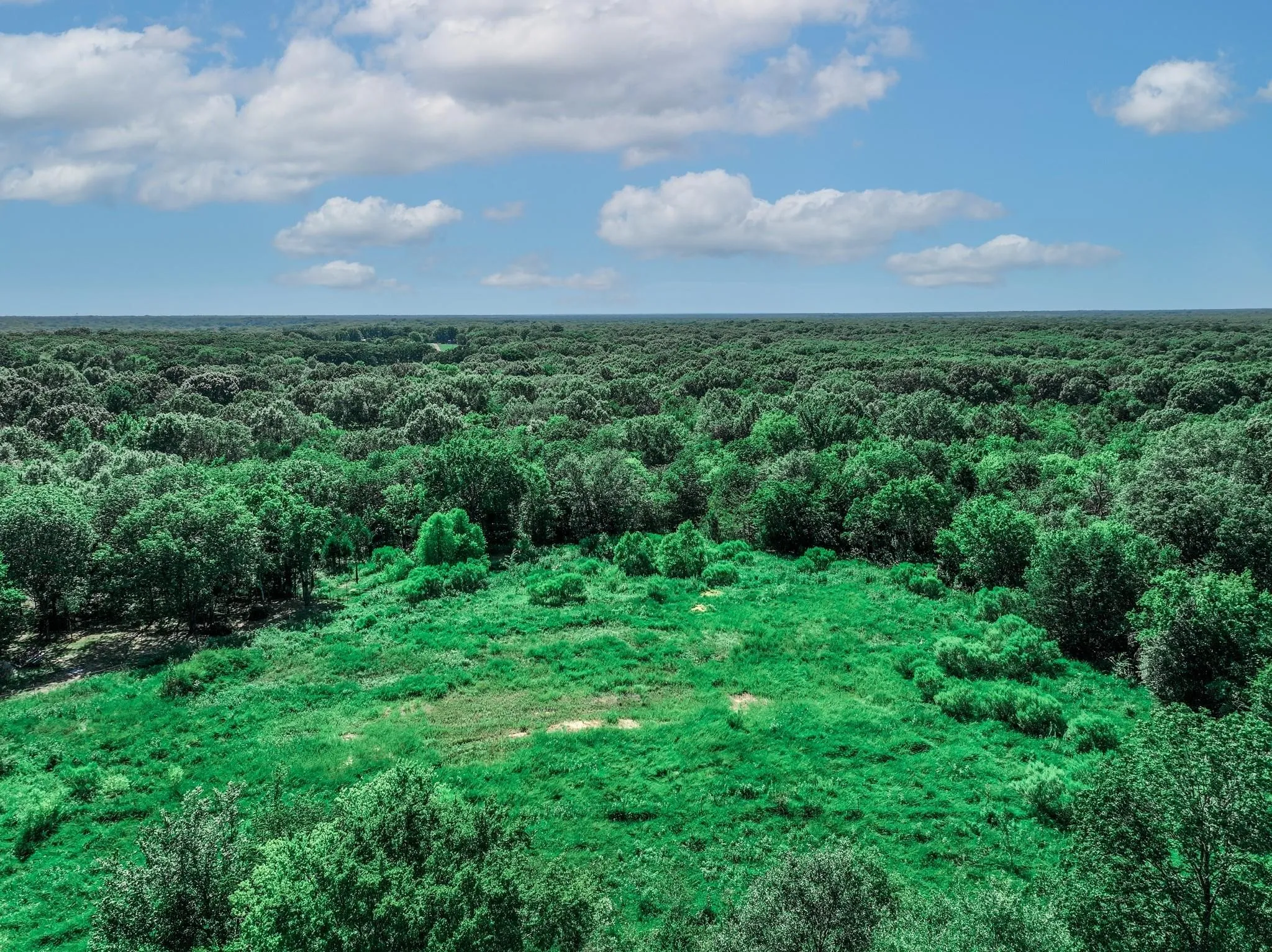 Unimproved Land For Sale in Van Zandt County , TBD County Road 1909, Canton, Texas 75117, 0, 0, Garage spaces, 0 Sqft, built in 0, mls#21384546, Real Estate Agent in Canton, Homes For Sale in Van Zandt county, Homes For Sale in Canton, Realtor in Canton Texas, Real Estate Brokerage Independent Realty Texas, Luminita Cordes Realtor