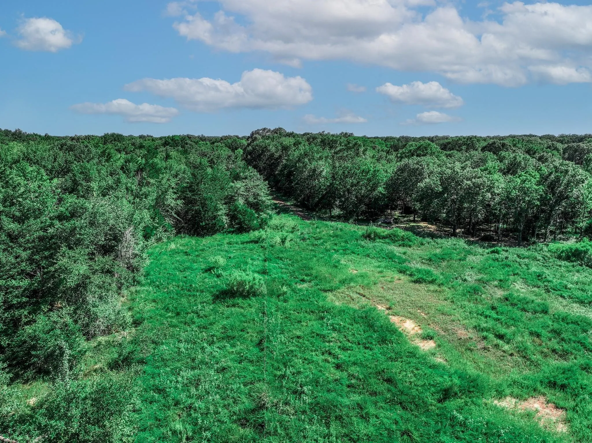 Unimproved Land For Sale in Van Zandt County , TBD County Road 1909, Canton, Texas 75117, 0, 0, Garage spaces, 0 Sqft, built in 0, mls#21384546, Real Estate Agent in Canton, Homes For Sale in Van Zandt county, Homes For Sale in Canton, Realtor in Canton Texas, Real Estate Brokerage Independent Realty Texas, Luminita Cordes Realtor