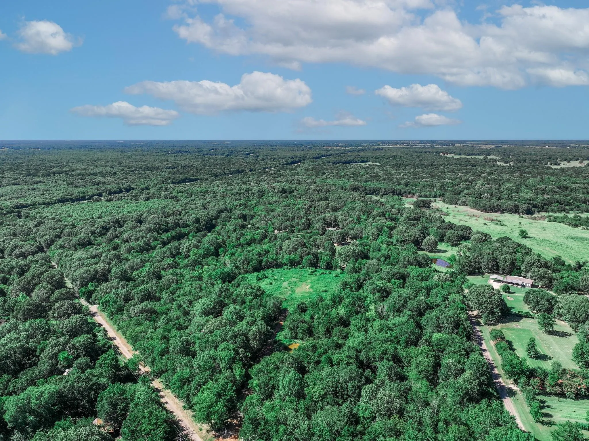 Unimproved Land For Sale in Van Zandt County , TBD County Road 1909, Canton, Texas 75117, 0, 0, Garage spaces, 0 Sqft, built in 0, mls#21384546, Real Estate Agent in Canton, Homes For Sale in Van Zandt county, Homes For Sale in Canton, Realtor in Canton Texas, Real Estate Brokerage Independent Realty Texas, Luminita Cordes Realtor