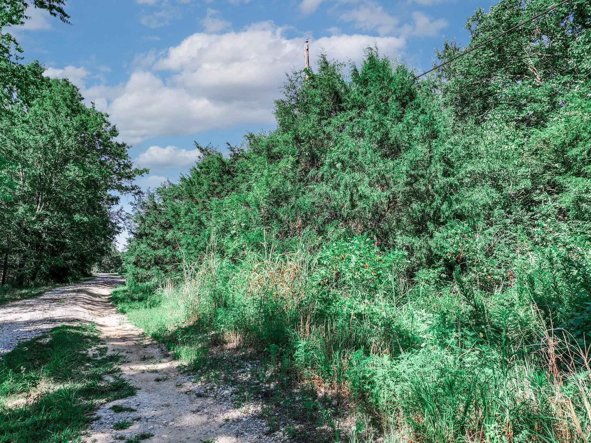 Unimproved Land For Sale in Van Zandt County , TBD County Road 1909, Canton, Texas 75117, 0, 0, Garage spaces, 0 Sqft, built in 0, mls#21384546, Real Estate Agent in Canton, Homes For Sale in Van Zandt county, Homes For Sale in Canton, Realtor in Canton Texas, Real Estate Brokerage Independent Realty Texas, Luminita Cordes Realtor