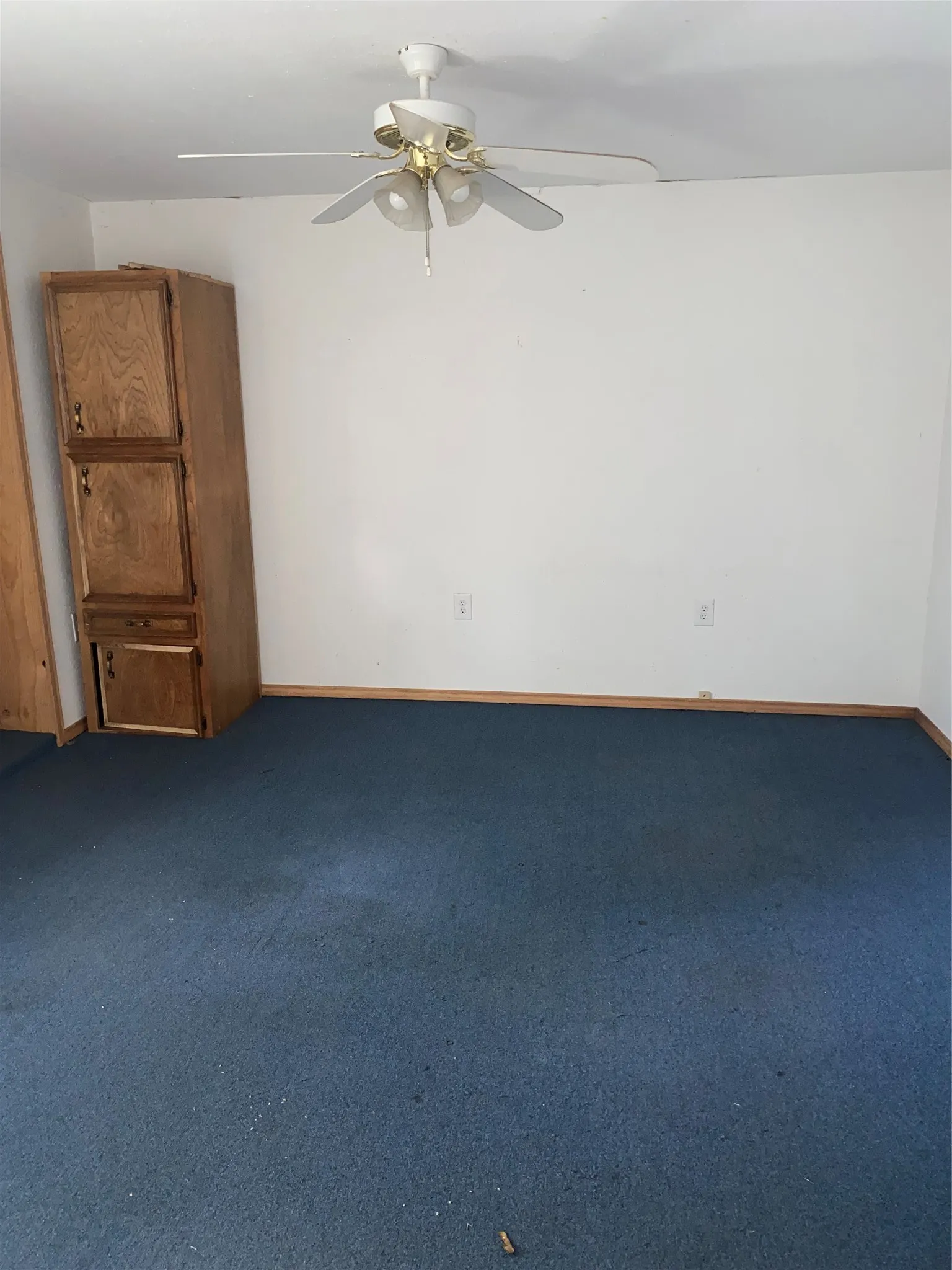 Single Family Residence For Sale in Callahan County , 600 2nd Street, Cross Plains, Texas 76443, 3 Bedroom, 2 Bathroom, Garage spaces, 2,424 Sqft, built in 1930, mls#21387992, Real Estate Agent in Cross Plains, Homes For Sale in Callahan county, Homes For Sale in Cross Plains, Realtor in Cross Plains Texas, Real Estate Brokerage Independent Realty Texas, Luminita Cordes Realtor