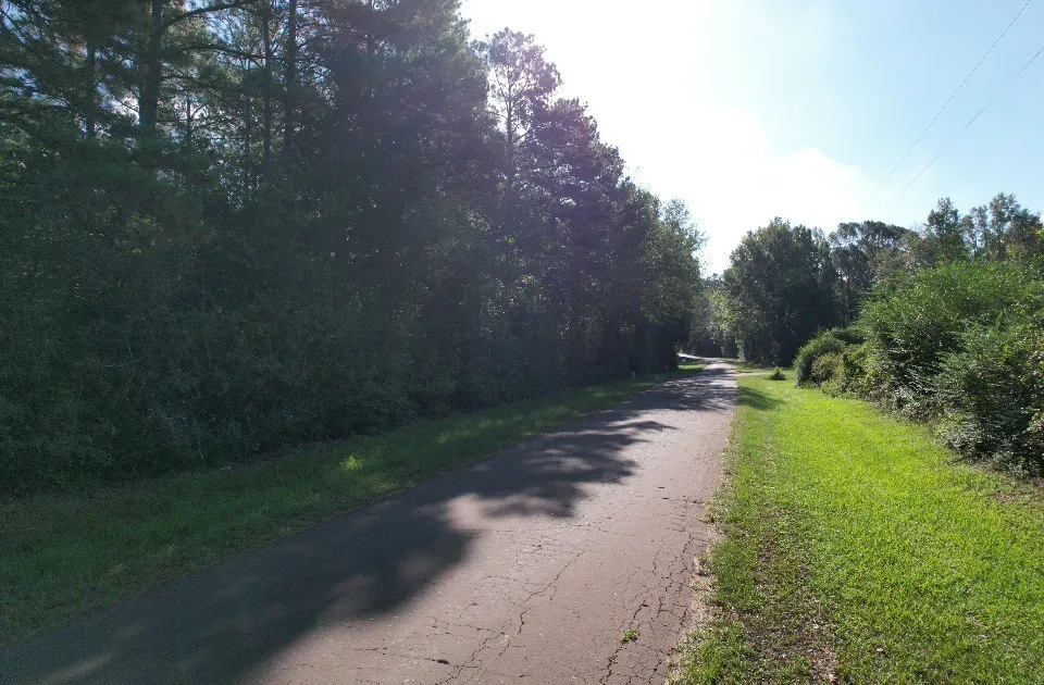 Unimproved Land For Sale in Panola County , TBD CR 432, No City, Texas 75954, 0, 0, Garage spaces, 0 Sqft, built in 0, mls#21388061, Real Estate Agent in No City, Homes For Sale in Panola county, Homes For Sale in No City, Realtor in No City Texas, Real Estate Brokerage Independent Realty Texas, Luminita Cordes Realtor