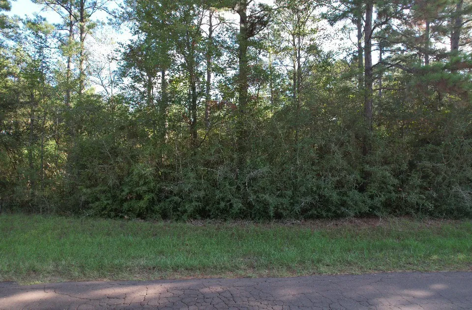 Unimproved Land For Sale in Panola County , TBD CR 432, No City, Texas 75954, 0, 0, Garage spaces, 0 Sqft, built in 0, mls#21388061, Real Estate Agent in No City, Homes For Sale in Panola county, Homes For Sale in No City, Realtor in No City Texas, Real Estate Brokerage Independent Realty Texas, Luminita Cordes Realtor