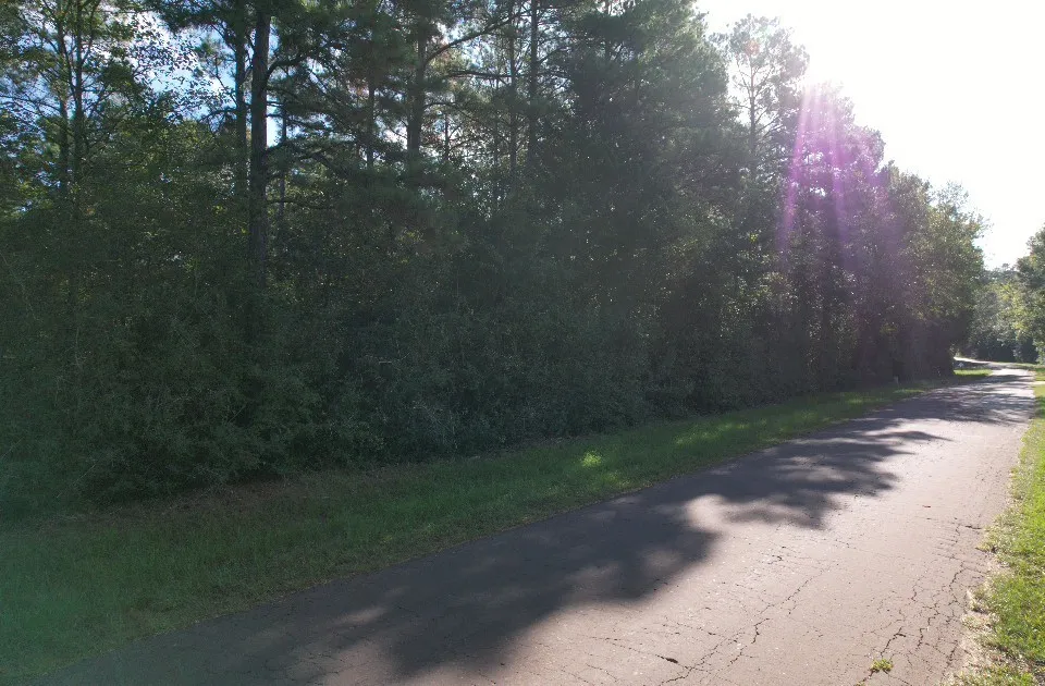 Unimproved Land For Sale in Panola County , TBD CR 432, No City, Texas 75954, 0, 0, Garage spaces, 0 Sqft, built in 0, mls#21388061, Real Estate Agent in No City, Homes For Sale in Panola county, Homes For Sale in No City, Realtor in No City Texas, Real Estate Brokerage Independent Realty Texas, Luminita Cordes Realtor