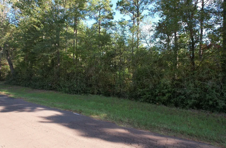 Unimproved Land For Sale in Panola County , TBD CR 432, No City, Texas 75954, 0, 0, Garage spaces, 0 Sqft, built in 0, mls#21388061, Real Estate Agent in No City, Homes For Sale in Panola county, Homes For Sale in No City, Realtor in No City Texas, Real Estate Brokerage Independent Realty Texas, Luminita Cordes Realtor