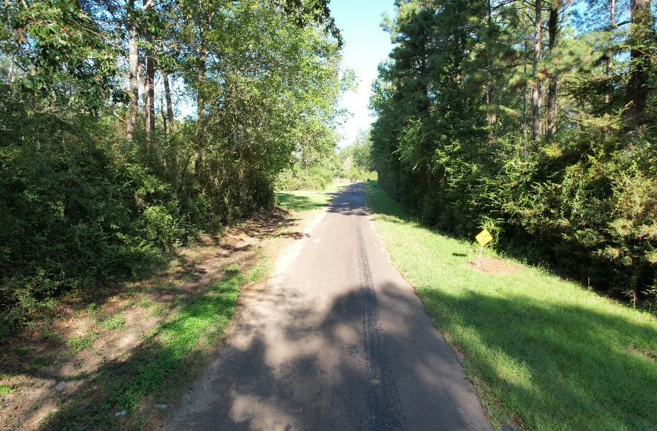 Unimproved Land For Sale in Panola County , TBD CR 432, No City, Texas 75954, 0, 0, Garage spaces, 0 Sqft, built in 0, mls#21388061, Real Estate Agent in No City, Homes For Sale in Panola county, Homes For Sale in No City, Realtor in No City Texas, Real Estate Brokerage Independent Realty Texas, Luminita Cordes Realtor