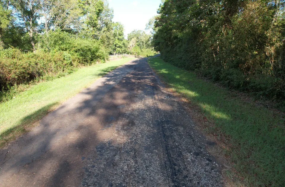 Unimproved Land For Sale in Panola County , TBD CR 432, No City, Texas 75954, 0, 0, Garage spaces, 0 Sqft, built in 0, mls#21388061, Real Estate Agent in No City, Homes For Sale in Panola county, Homes For Sale in No City, Realtor in No City Texas, Real Estate Brokerage Independent Realty Texas, Luminita Cordes Realtor