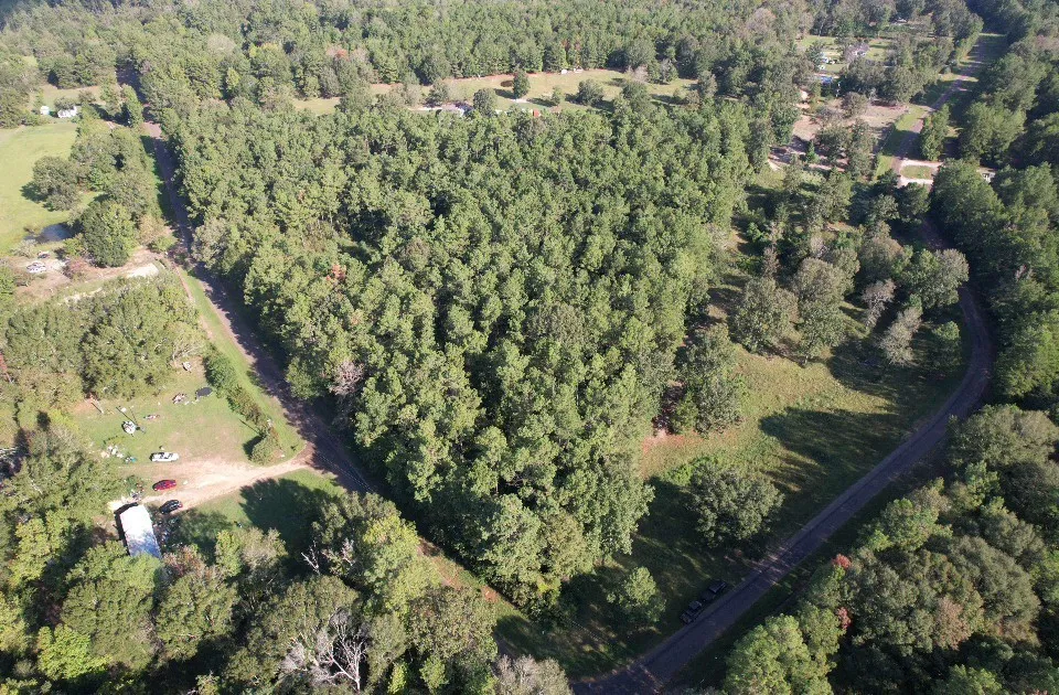 Unimproved Land For Sale in Panola County , TBD CR 432, No City, Texas 75954, 0, 0, Garage spaces, 0 Sqft, built in 0, mls#21388061, Real Estate Agent in No City, Homes For Sale in Panola county, Homes For Sale in No City, Realtor in No City Texas, Real Estate Brokerage Independent Realty Texas, Luminita Cordes Realtor