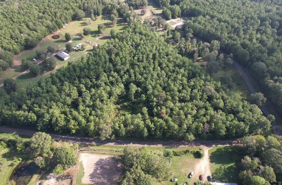 Unimproved Land For Sale in Panola County , TBD CR 432, No City, Texas 75954, 0, 0, Garage spaces, 0 Sqft, built in 0, mls#21388061, Real Estate Agent in No City, Homes For Sale in Panola county, Homes For Sale in No City, Realtor in No City Texas, Real Estate Brokerage Independent Realty Texas, Luminita Cordes Realtor