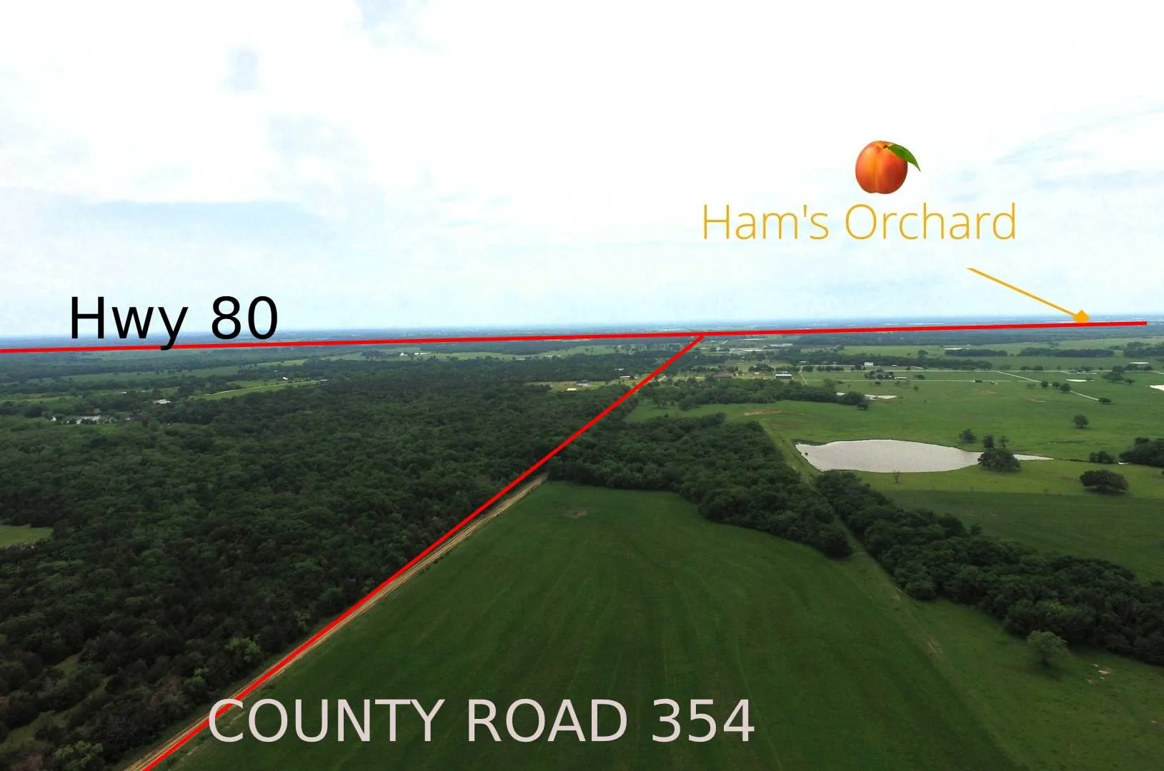 Unimproved Land For Sale in Kaufman County , TBD Cr-354, Terrell, Texas 75161, 0, 0, Garage spaces, 0 Sqft, built in 0, mls#21388093, Real Estate Agent in Terrell, Homes For Sale in Kaufman county, Homes For Sale in Terrell, Realtor in Terrell Texas, Real Estate Brokerage Independent Realty Texas, Luminita Cordes Realtor