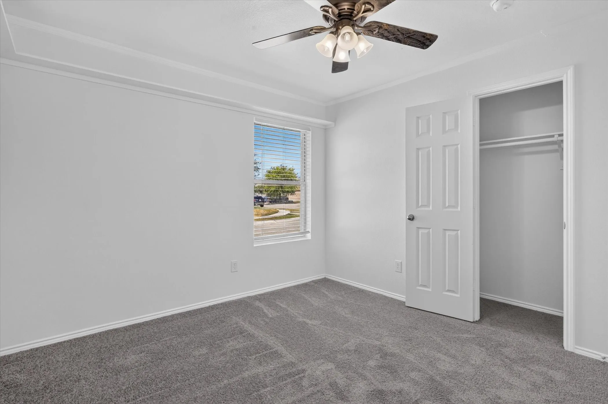 Plush gray carpeting, white painted walls, and a multi-paneled door