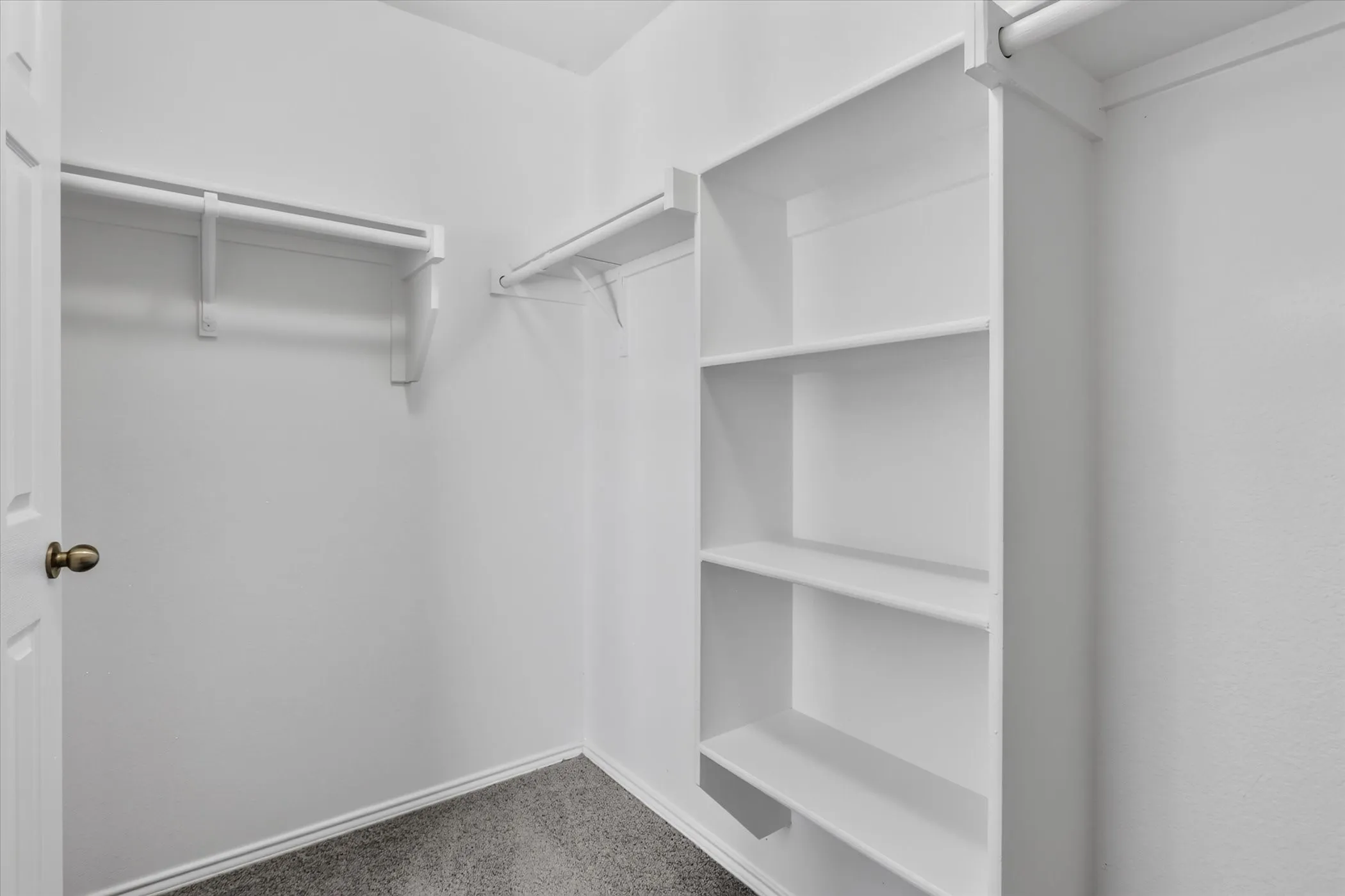 Walk-in closet featuring built-in shelving, hanging rods, and carpet flooring