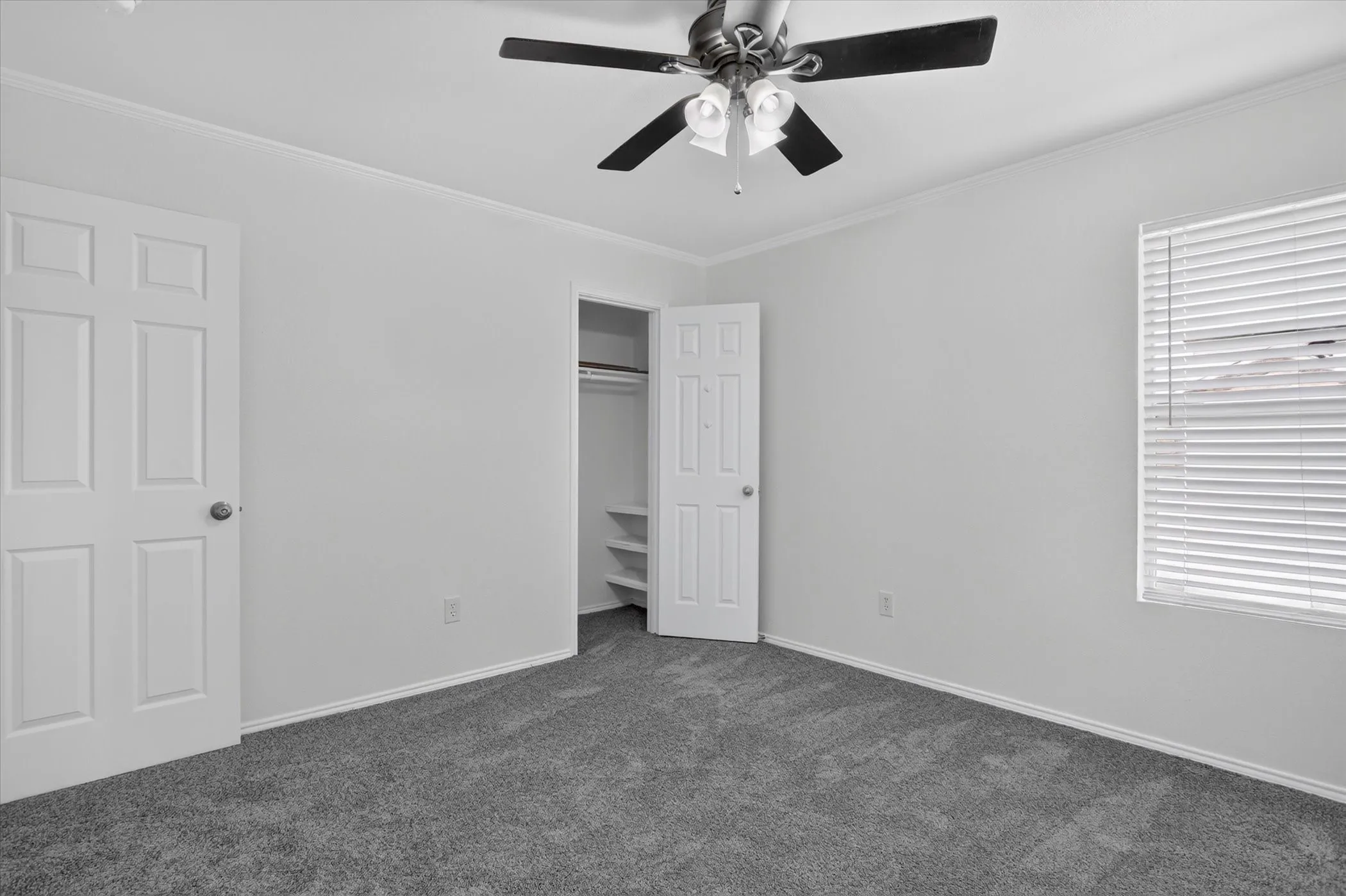Plush carpeting, white walls, and a ceiling fan with integrated lighting