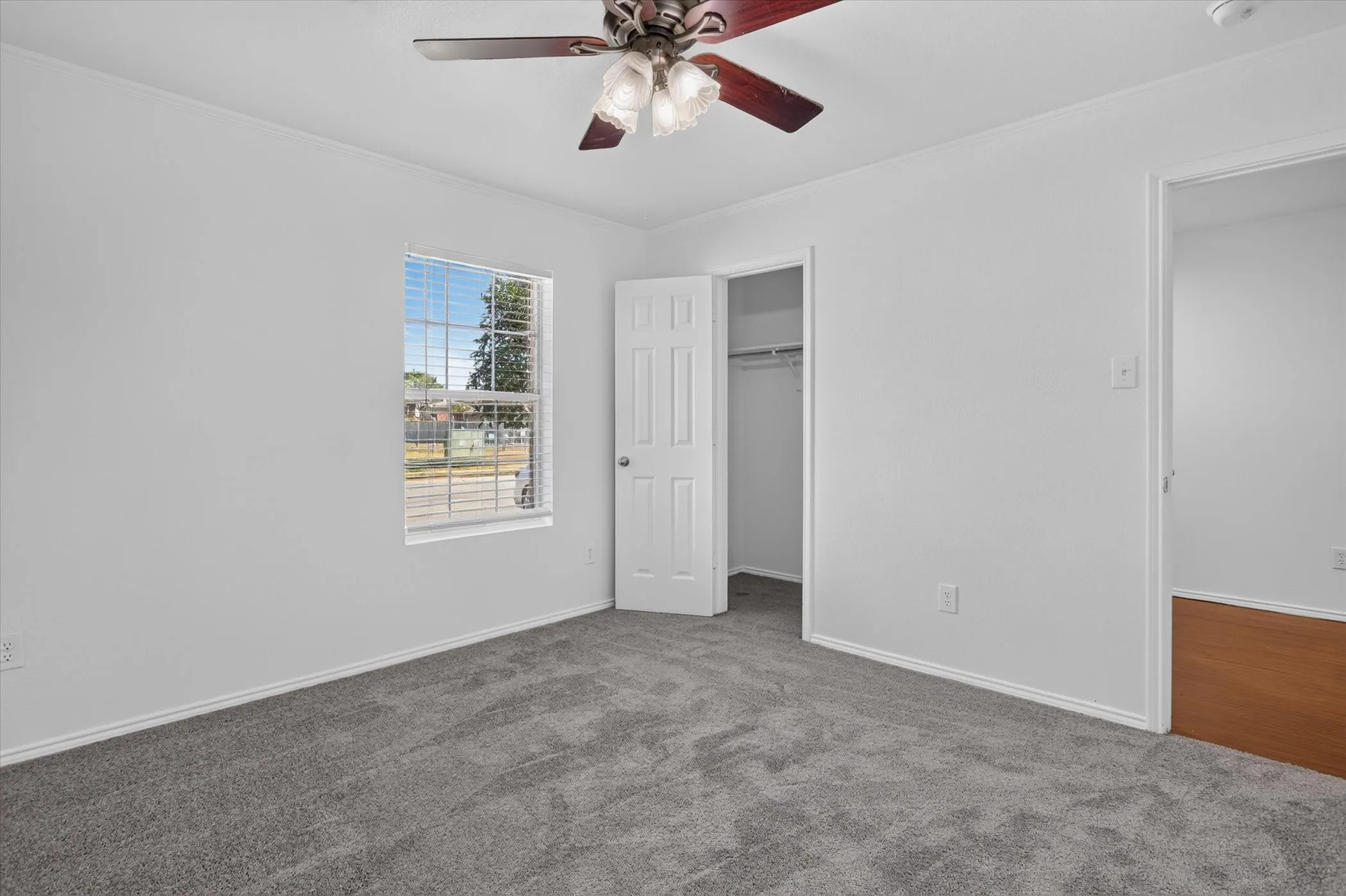 Gray carpeting, white walls, and a ceiling fan with light fixture