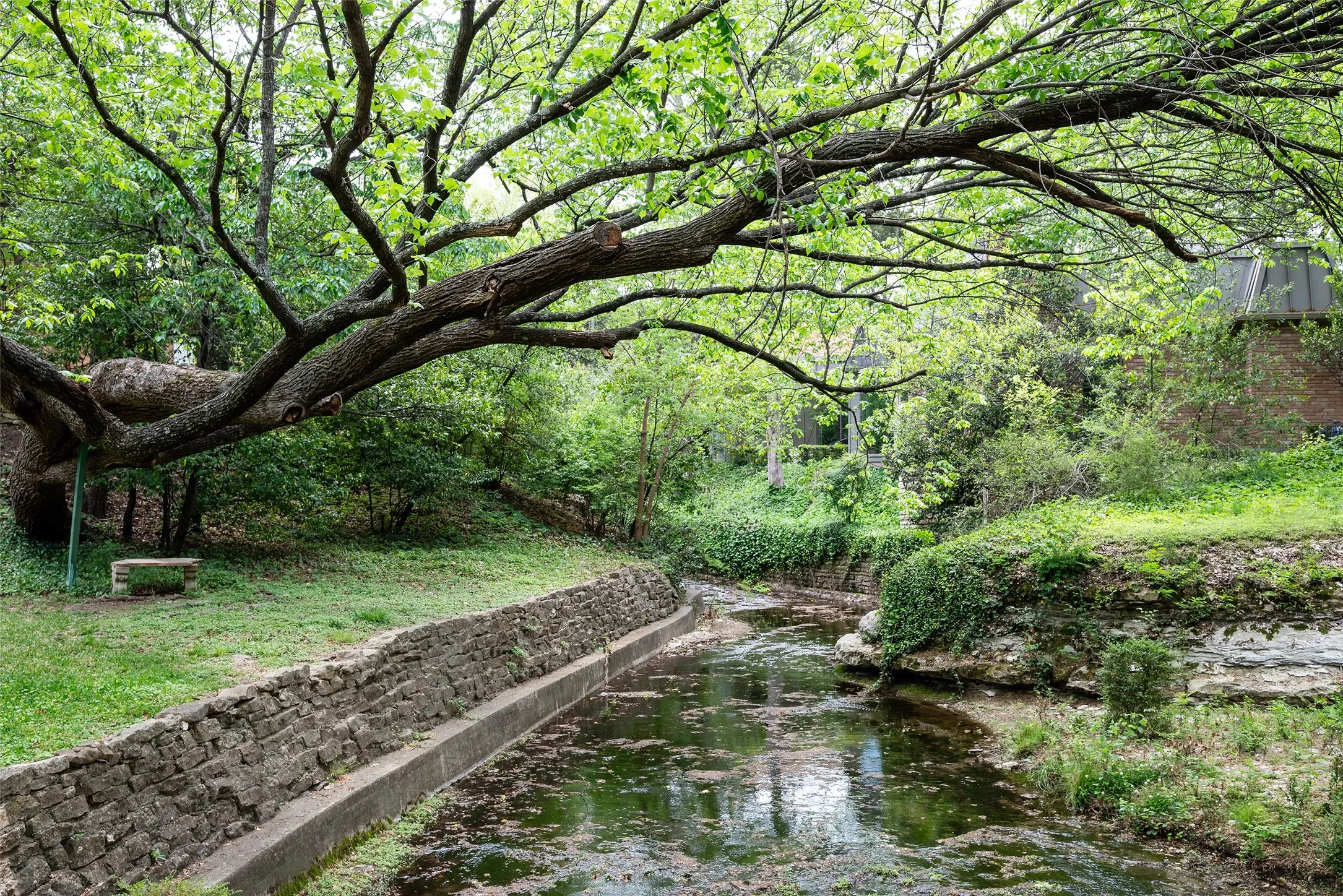 Creek