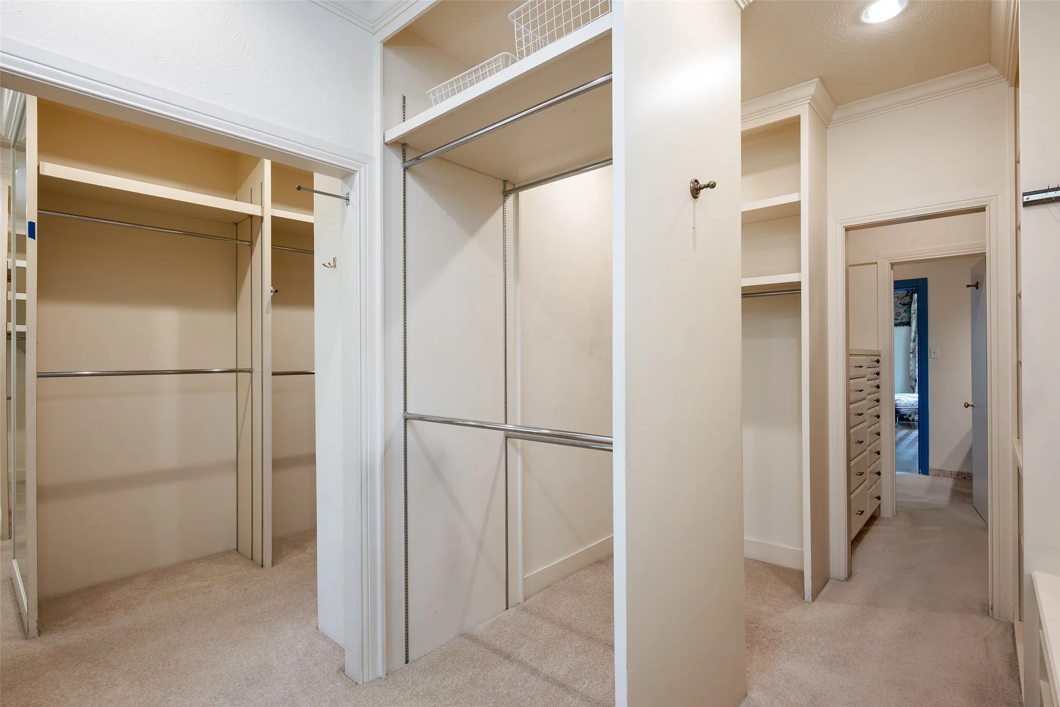 Large primary closet