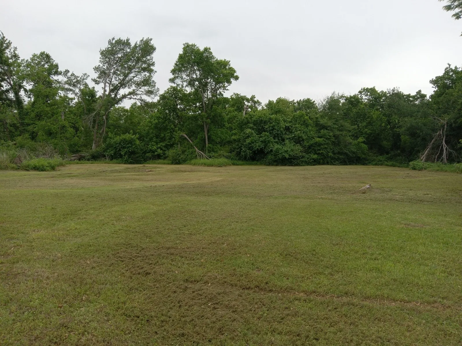 Unimproved Land For Sale in Fannin County , 1701 Liberty Street, Bonham, Texas 75418, 0, 0, Garage spaces, 0 Sqft, built in 0, mls#21388085, Real Estate Agent in Bonham, Homes For Sale in Fannin county, Homes For Sale in Bonham, Realtor in Bonham Texas, Real Estate Brokerage Independent Realty Texas, Luminita Cordes Realtor