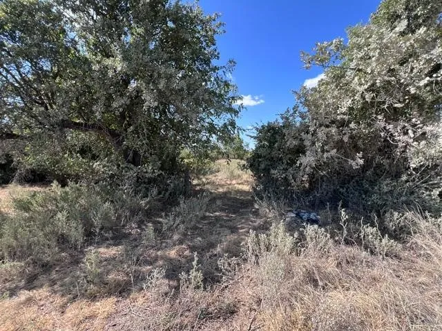 Single Family Residence For Sale in Callahan County , TBD C.R. 241, Clyde, Texas 79510, 0, 0, Garage spaces, 600 Sqft, built in 1951, mls#21387745, Real Estate Agent in Clyde, Homes For Sale in Callahan county, Homes For Sale in Clyde, Realtor in Clyde Texas, Real Estate Brokerage Independent Realty Texas, Luminita Cordes Realtor