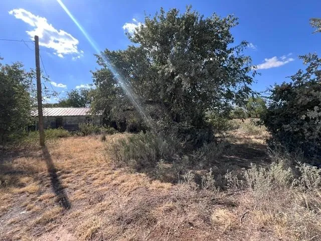 Single Family Residence For Sale in Callahan County , TBD C.R. 241, Clyde, Texas 79510, 0, 0, Garage spaces, 600 Sqft, built in 1951, mls#21387745, Real Estate Agent in Clyde, Homes For Sale in Callahan county, Homes For Sale in Clyde, Realtor in Clyde Texas, Real Estate Brokerage Independent Realty Texas, Luminita Cordes Realtor