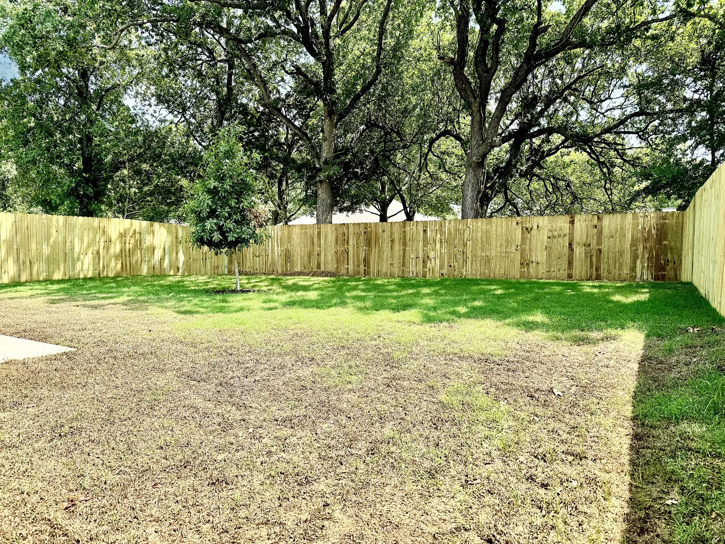 Single Family Residence For Rent in Grayson County , 2384 Miller Street, Denison, Texas 75020, 3 Bedroom, 2 Bathroom, 1 Garage spaces, 1,248 Sqft, built in 2024, mls#21388150, Real Estate Agent in Denison, Homes For Rent in Grayson county, Homes For Rent in Denison, Realtor in Denison Texas, Real Estate Brokerage Independent Realty Texas, Luminita Cordes Realtor