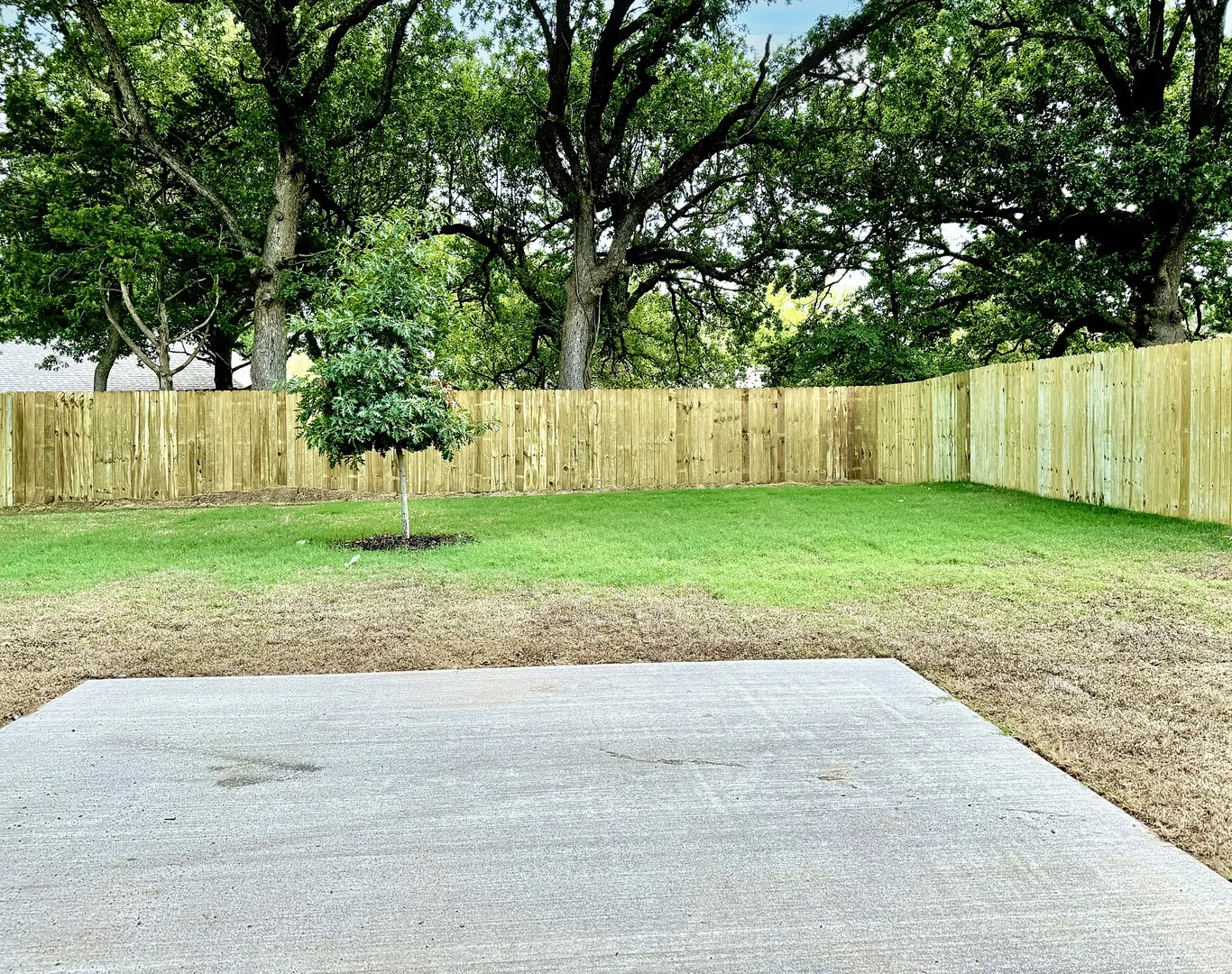 Single Family Residence For Rent in Grayson County , 2384 Miller Street, Denison, Texas 75020, 3 Bedroom, 2 Bathroom, 1 Garage spaces, 1,248 Sqft, built in 2024, mls#21388150, Real Estate Agent in Denison, Homes For Rent in Grayson county, Homes For Rent in Denison, Realtor in Denison Texas, Real Estate Brokerage Independent Realty Texas, Luminita Cordes Realtor