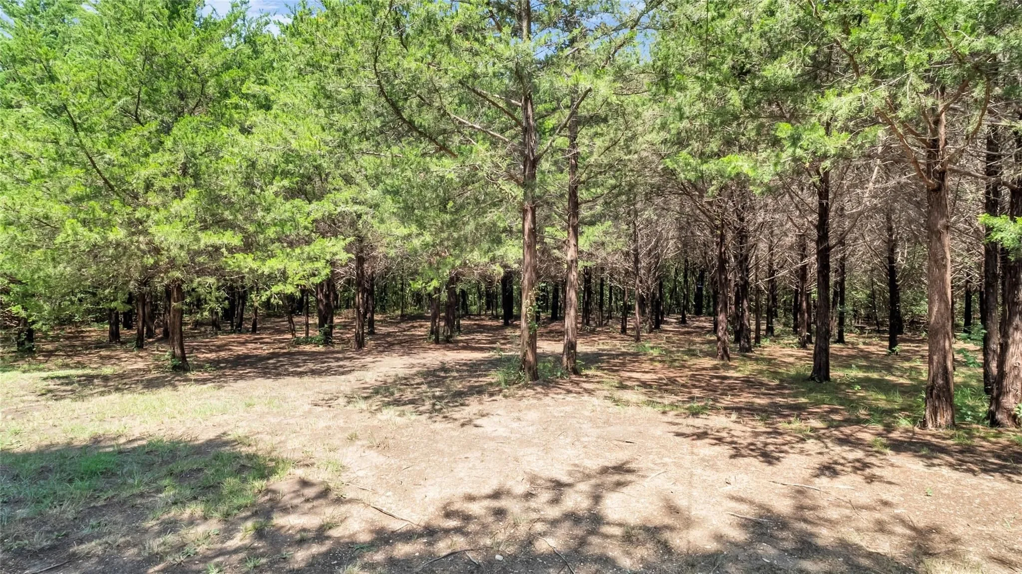 Single Family Residence For Sale in Grayson County , 1011 Sister Grove Road, Van Alstyne, Texas 75495, 3 Bedroom, 2 Bathroom, Garage spaces, 1,877 Sqft, built in 2006, mls#21388251, Real Estate Agent in Van Alstyne, Homes For Sale in Grayson county, Homes For Sale in Van Alstyne, Realtor in Van Alstyne Texas, Real Estate Brokerage Independent Realty Texas, Luminita Cordes Realtor