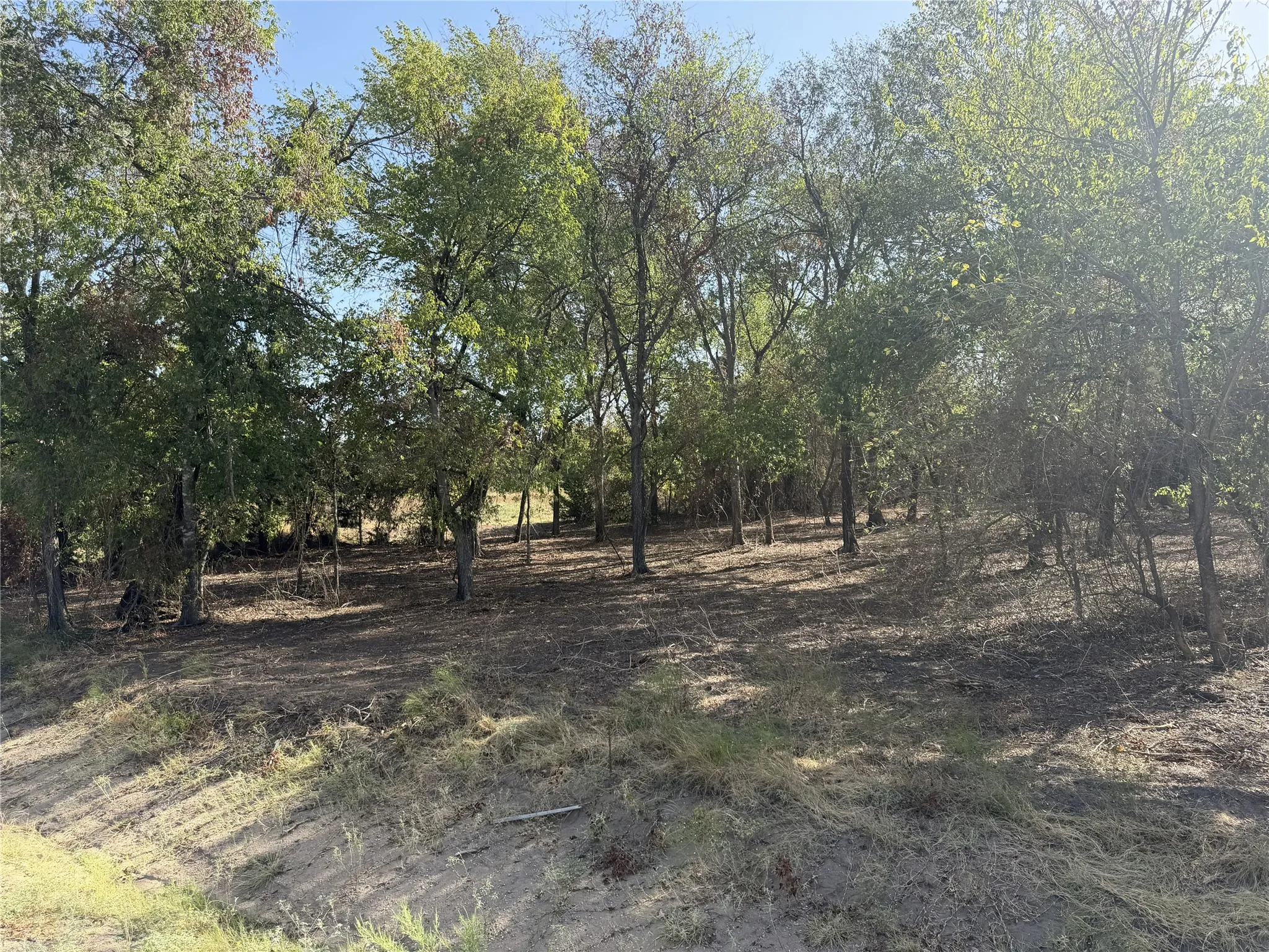 Wooded lot featuring mature trees and varied terrain