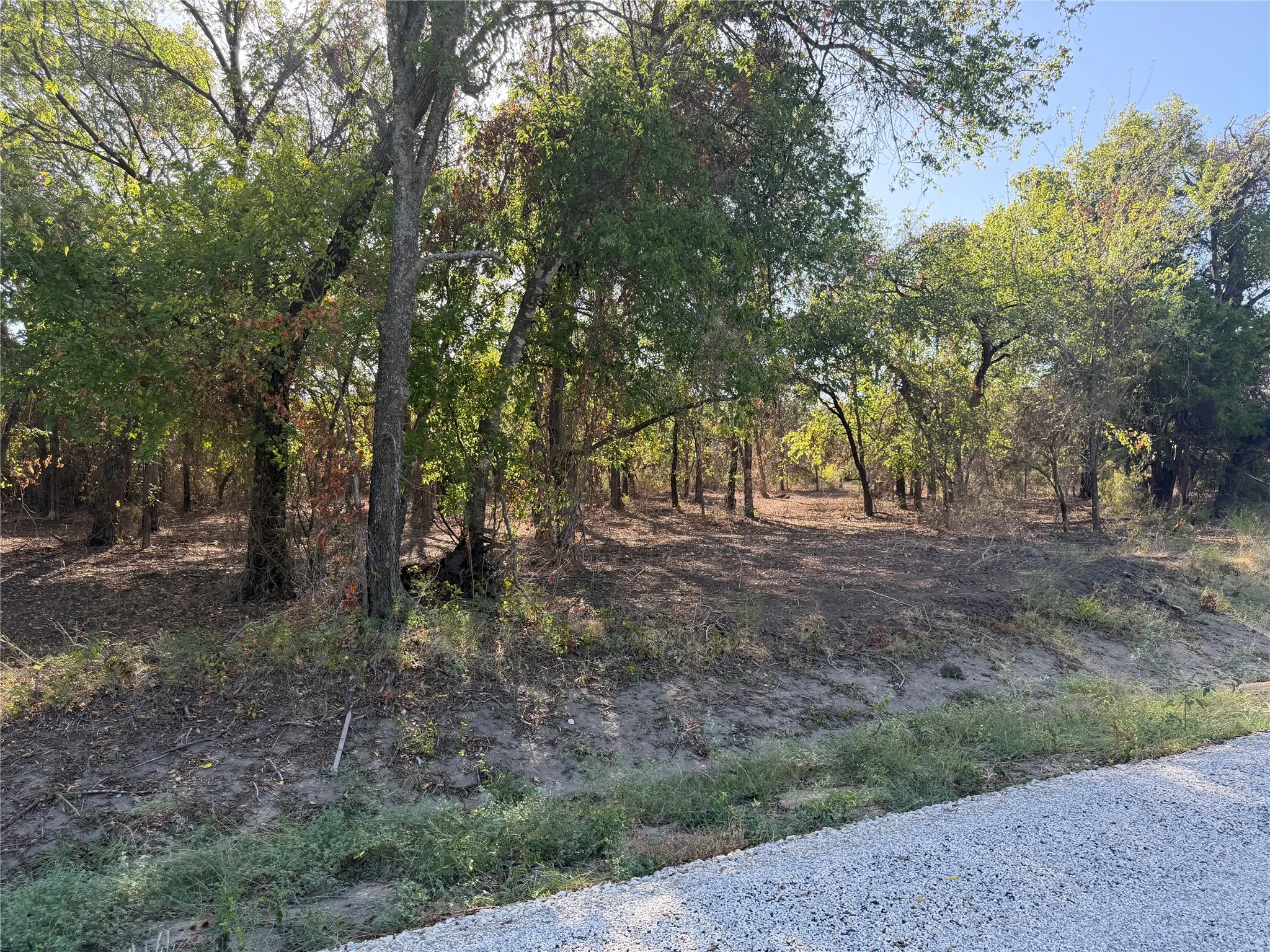 Wooded lot featuring mature trees and a gravel road