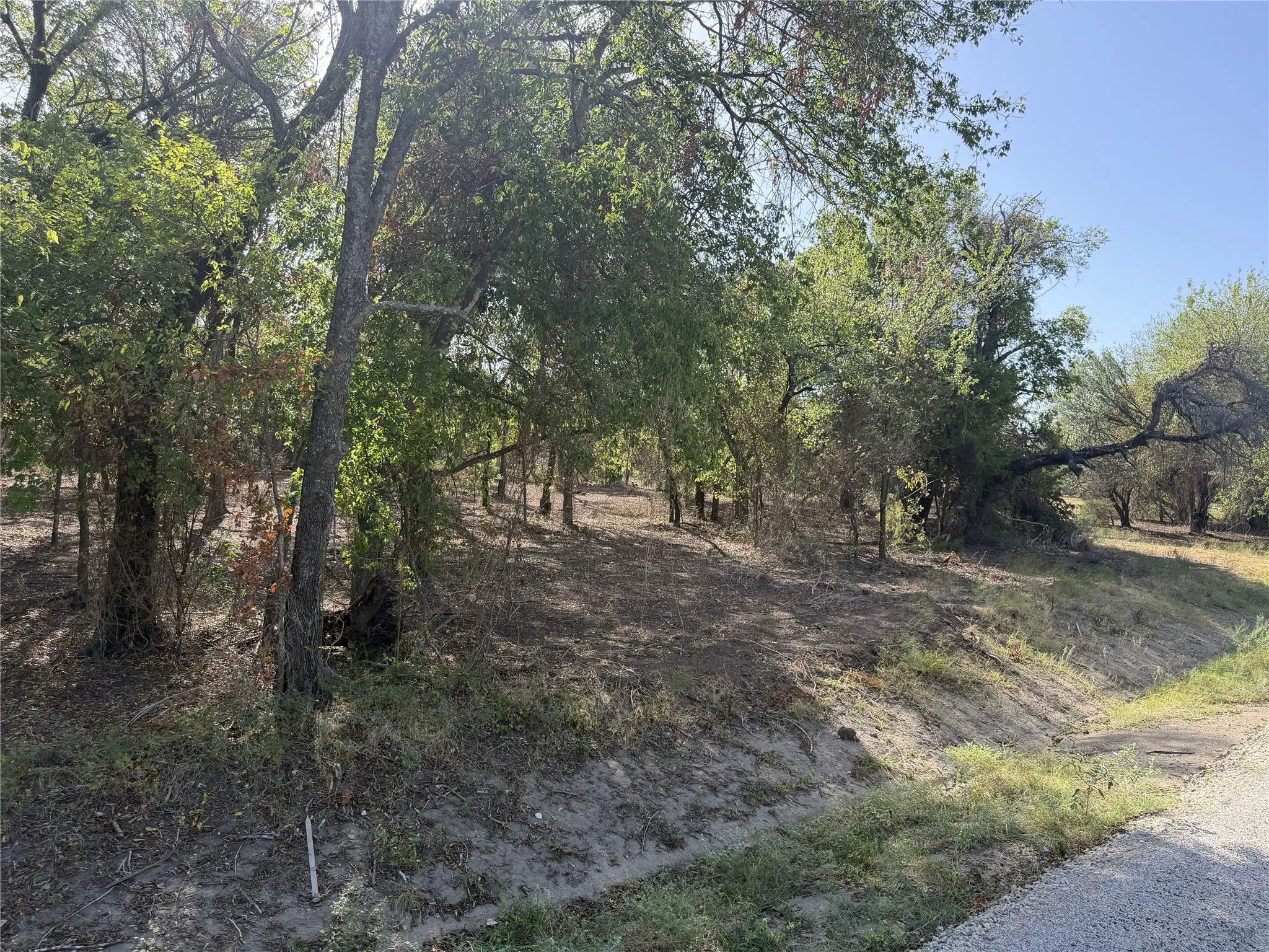 Mature trees and varied foliage define this expansive natural landscape