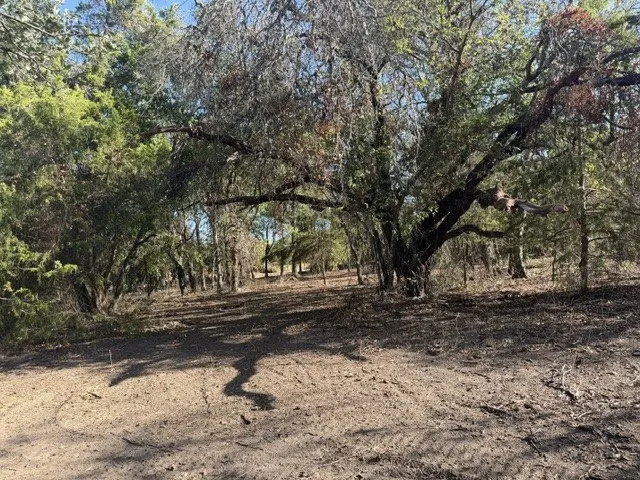 Expansive natural terrain featuring mature trees and established ground cover
