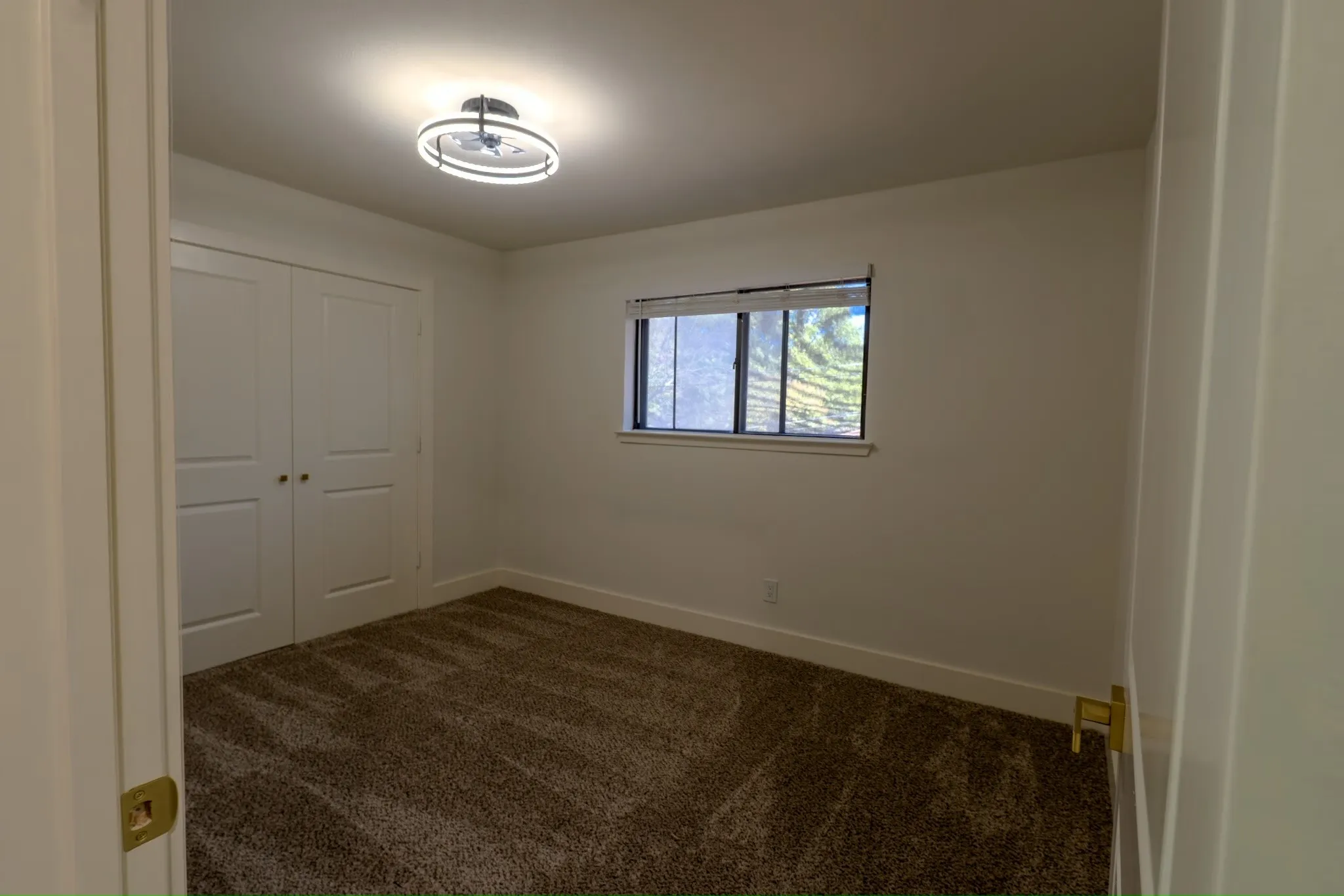 Neutral wall color, window with roller shade, ceiling-mounted light fixture, and textured carpeting