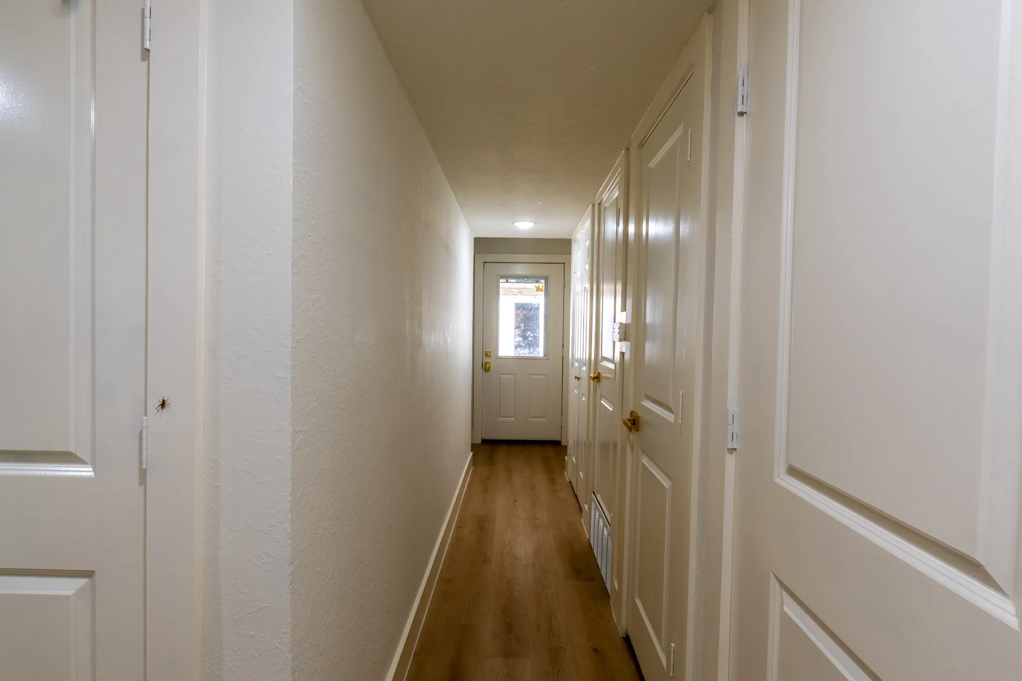 Wood-finish flooring with white paneled doors and a glass-paneled exterior door